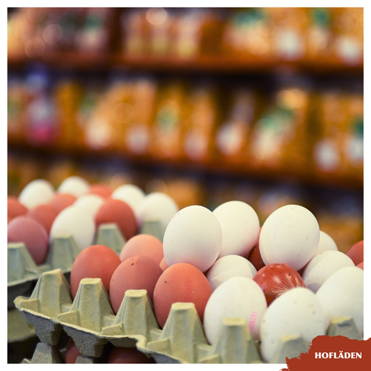 Bauerngut Bergische - Eier. Die Testsieger