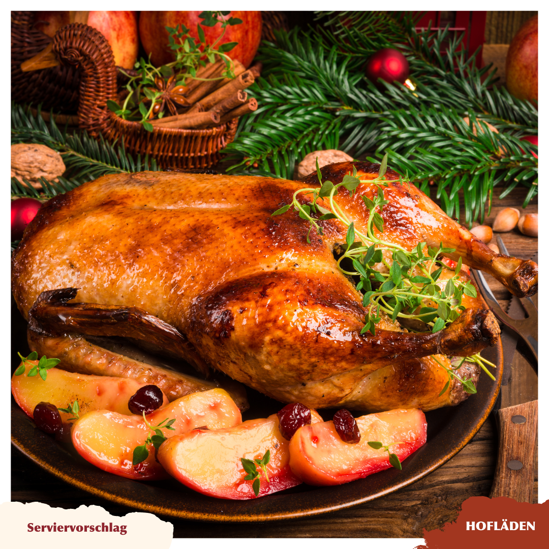 Geflügel – Bauerngut Schiefelbusch \u0026 Sülzaue, image size:1080x1080