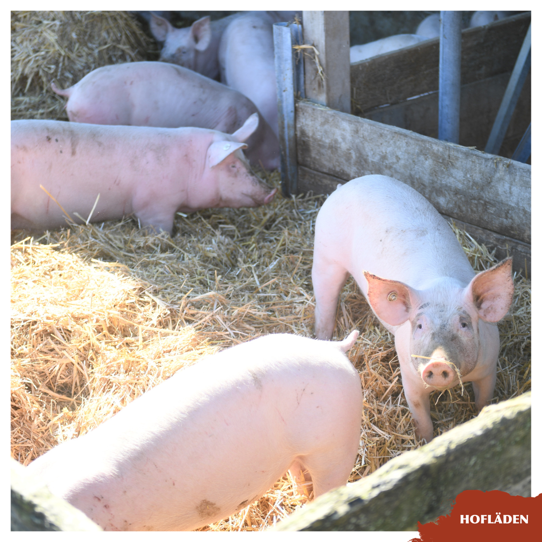 Schweinekrustenbraten