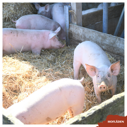 Schweinekrustenbraten